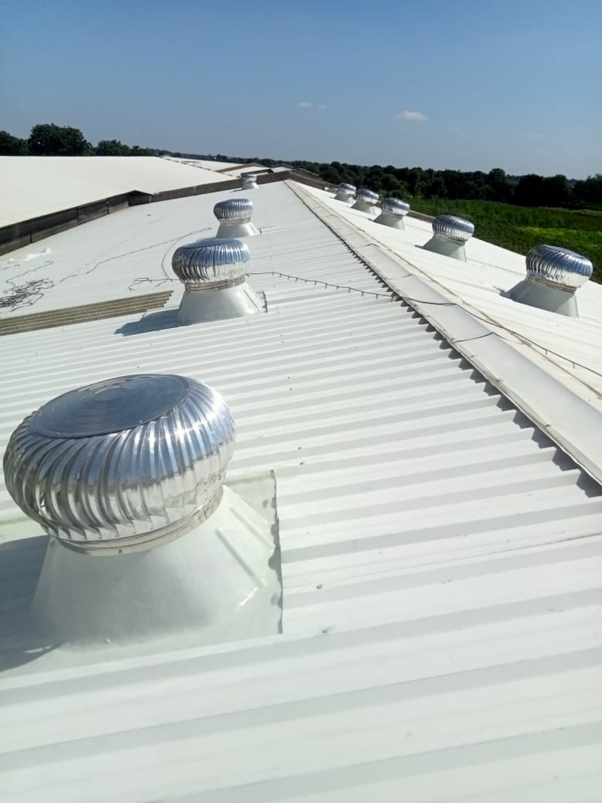 FRP Base Air Ventilator